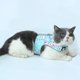 thumbnail image 5 of Adjustable Leak-Proof Cat Harness and Leash Soft Mesh Harness for Small and Medium Cats Reflective Bandage, 5 of 5
