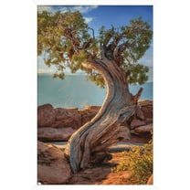 Beth Sheridan - Dead Horse Point Wall Poster, 14.725" x 22.375", Framed