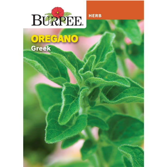 Burpee 148 mg Oregano Greek Herb Seed, Perennial Herb Seed, Full Sun