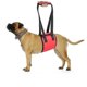 thumbnail image 1 of Arnés de elevación para perros, eslinga de soporte y recuperación, chaleco elevador de rehabilitación para mascotas, correas transpirables ajustables para personas mayores, discapacitadas, l, 1 of 4