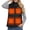 A Black, variant on Heated Fleece Vest 4 Heat Zones Fast Warm Up Heated Vest Mountain Climbing Warm Layer Ski Down Warming Sleeveless Jacket Winter Outdoor Heating Clothing Thermal Women Vest Jacket