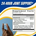 Glucoflex Glucosamine & Chondroitin Sulfate with MSM, 24 Hour Joint