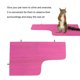 thumbnail image 5 of Pet Stand Platform Colorful Wooden Easy To Install Pet Wooden Playing Platform for Hamsters Gerbils, 5 of 8