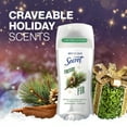 thumbnail image 5 of Secret Fresh Invisible Solid Antiperspirant and Deodorant For Women, Fireside Fir, 2.6 oz, 5 of 11