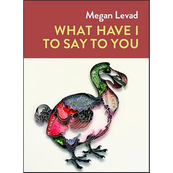 Pre-Owned What Have I to Say to You (Paperback) 193563576X 9781935635765
