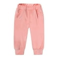 thumbnail image 4 of Lilgiuy Little Boys Girls 2 Pcs Velvet Sweat Suit Outfits Toddler Kids Long Sleeve Full Zipper Pullover Hoodie + Elastic Waist Sweatpants Set Fall Winter Clothes Pink(8-13 Years), 4 of 5