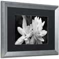 thumbnail image 2 of Trademark Fine Art "Tuber Rose in Black and White" Canvas Art by Kurt Shaffer, Black Matte, Silver Frame, 2 of 4