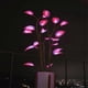 thumbnail image 3 of Magical Glowing Potted Plant Indoor Plant LED 3 Color-Changing Artificial Plants Bonsai Light Artificial (Without Pot), 3 of 5