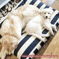thumbnail image 5 of Majestic Pet | Vertical Stripe Rectangle Pet Bed For Dogs, Removable Cover, Navy Blue, Medium, 5 of 5
