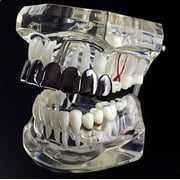 Best Grillz All Black Eight Top Teeth Plain 8 Tooth Hip Hop Blacked Out Mouth Grills