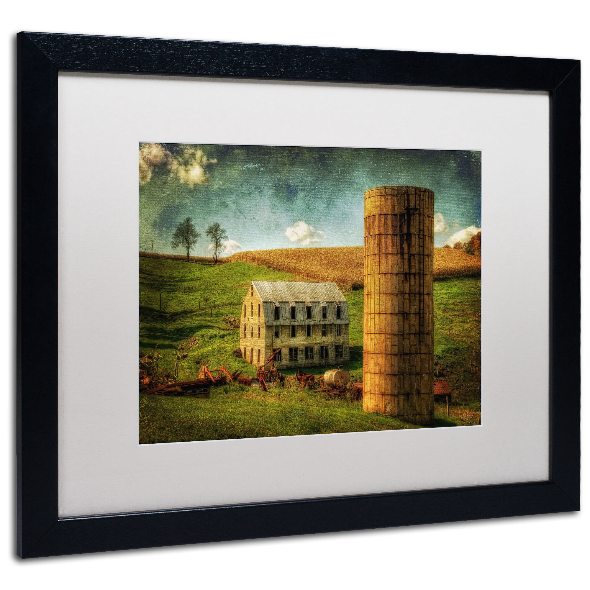 Trademark Fine Art "His Pride and Joy" Canvas Art by Lois Bryan, White Mat, Wood Frame