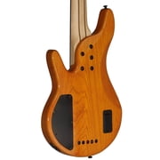 Michael Kelly Pinnacle 5 5-String Bass Guitar