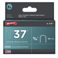 thumbnail image 1 of Arrow Fastener Co. 379 9-16 in. T37 Staples 1,000 Count, 1 of 1