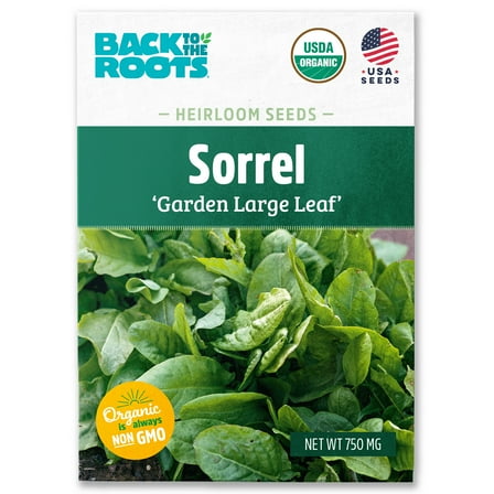 Back to the Roots Organic Sorrel 'Garden Large Leaf', 1 Seed packet