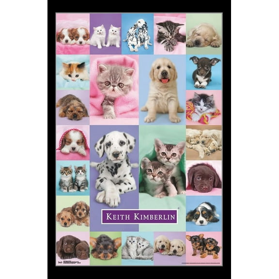 Puppies & Kittens Poster Print (22 x 34)