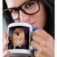 thumbnail image 2 of 3dRose, Pomeranian Dog, 15oz Two-Tone Blue Mug, 2 of 7