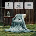 thumbnail image 3 of Manta eléctrica Texciting Queen, 213 x 229 cm, color verde, 3 of 7