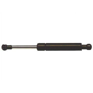 Trunk Strut - Compatible with 2006 BMW 325i