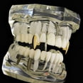 thumbnail image 4 of 14k Gold Plated Vampire Fang Single Cap Top K9 Canine One Custom Tooth Dracula Teeth Grillz, 4 of 4