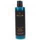 thumbnail image 1 of Champú Rita Hazan True Color 8.5 oz, 1 of 2