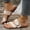 Beige, variant on Women's Flat Slide Sandals Crisscross Strap Metal Buckle Non-Slip Leather Open Toe Beach Slippers Summer Black 9