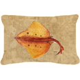 thumbnail image 1 of 12 x 16 In. Blonde Ray Stingray Indoor & Outdoor Fabric Decorative Pillow, 1 of 1