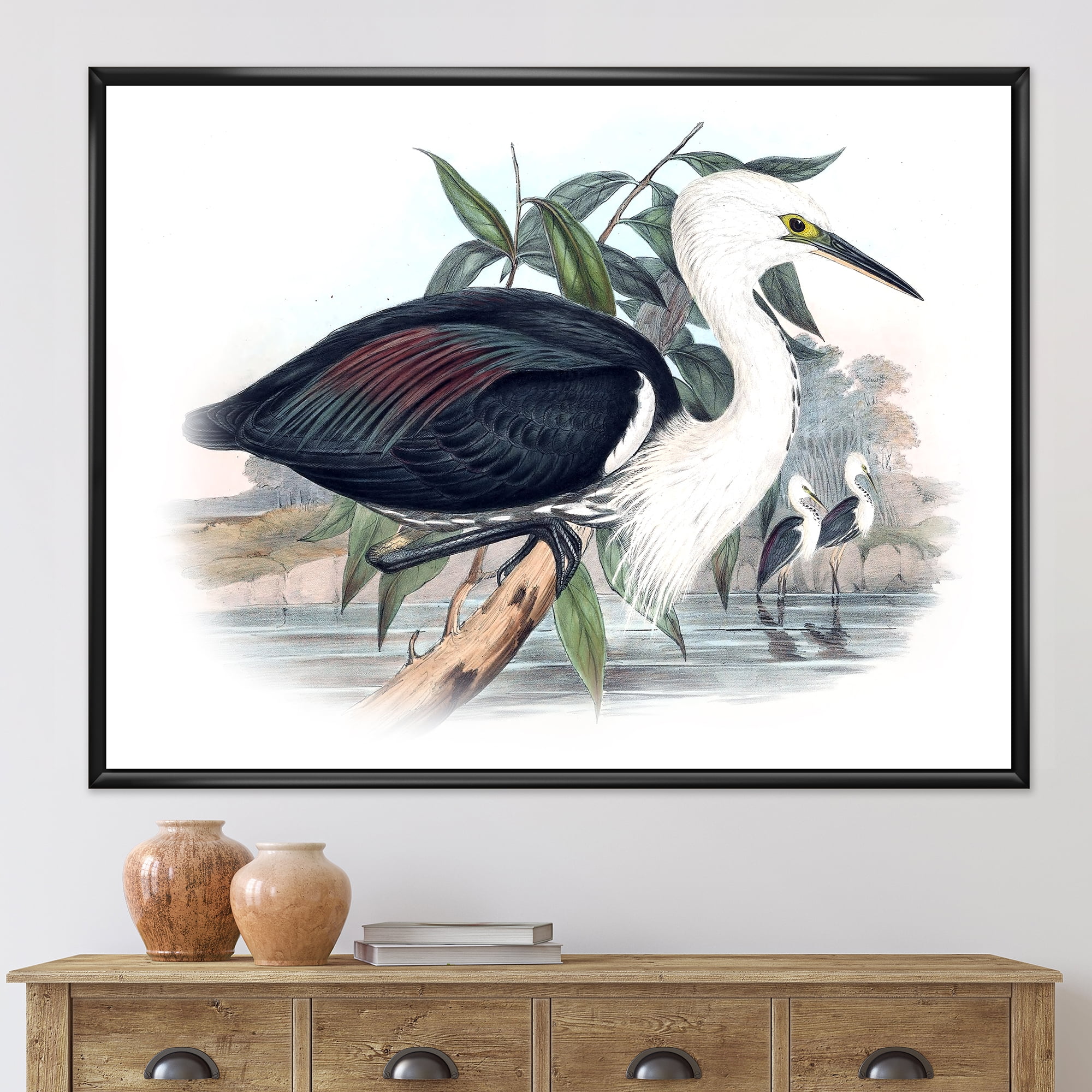 Ancient Birds Of Australia 20 in x 12 in Framed Painting Canvas Art Print, by Designart