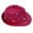 Rose Red, variant on Topumt Glowing Jazz Hat Stage Props Sequin Cowboy Hat Matching Outfits,Shows or Party