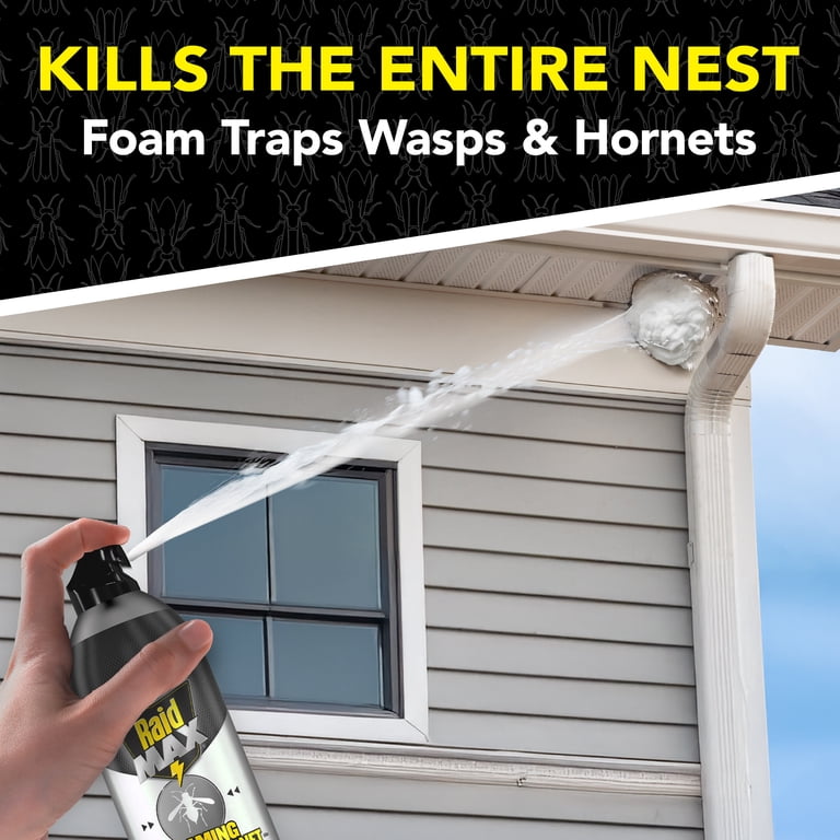 Raid MAX Foaming Wasp and Hornet Killer, 16.5 oz photo 3