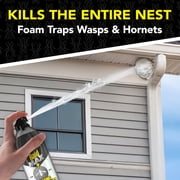 Raid MAX Foaming Wasp and Hornet Killer, Fast Coverage Outdoor Foaming Spray, 16.5 oz