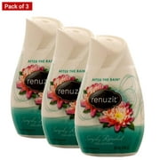 Renuzit Adjustable Air Freshener,  After The Rain, Pack Of 3