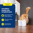 thumbnail image 3 of PetSafe Viva Pet Water Fountain for Small Pets, 64 oz, Whisper Quiet Pump, Dishwasher Safe, 3 of 9