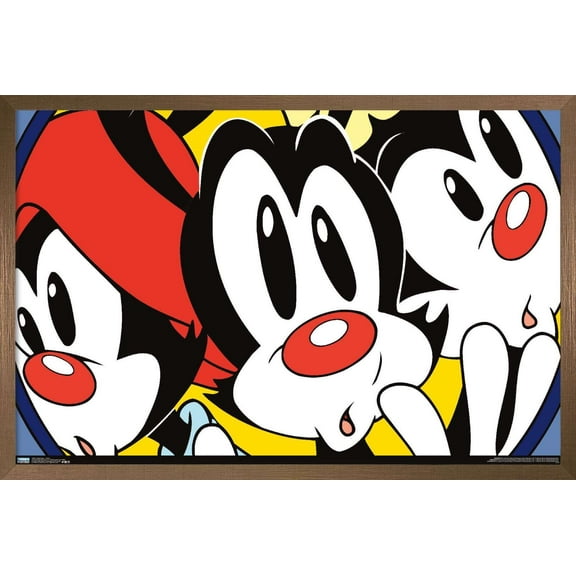 Animaniacs - Faces Wall Poster, 22.375" x 34", Framed