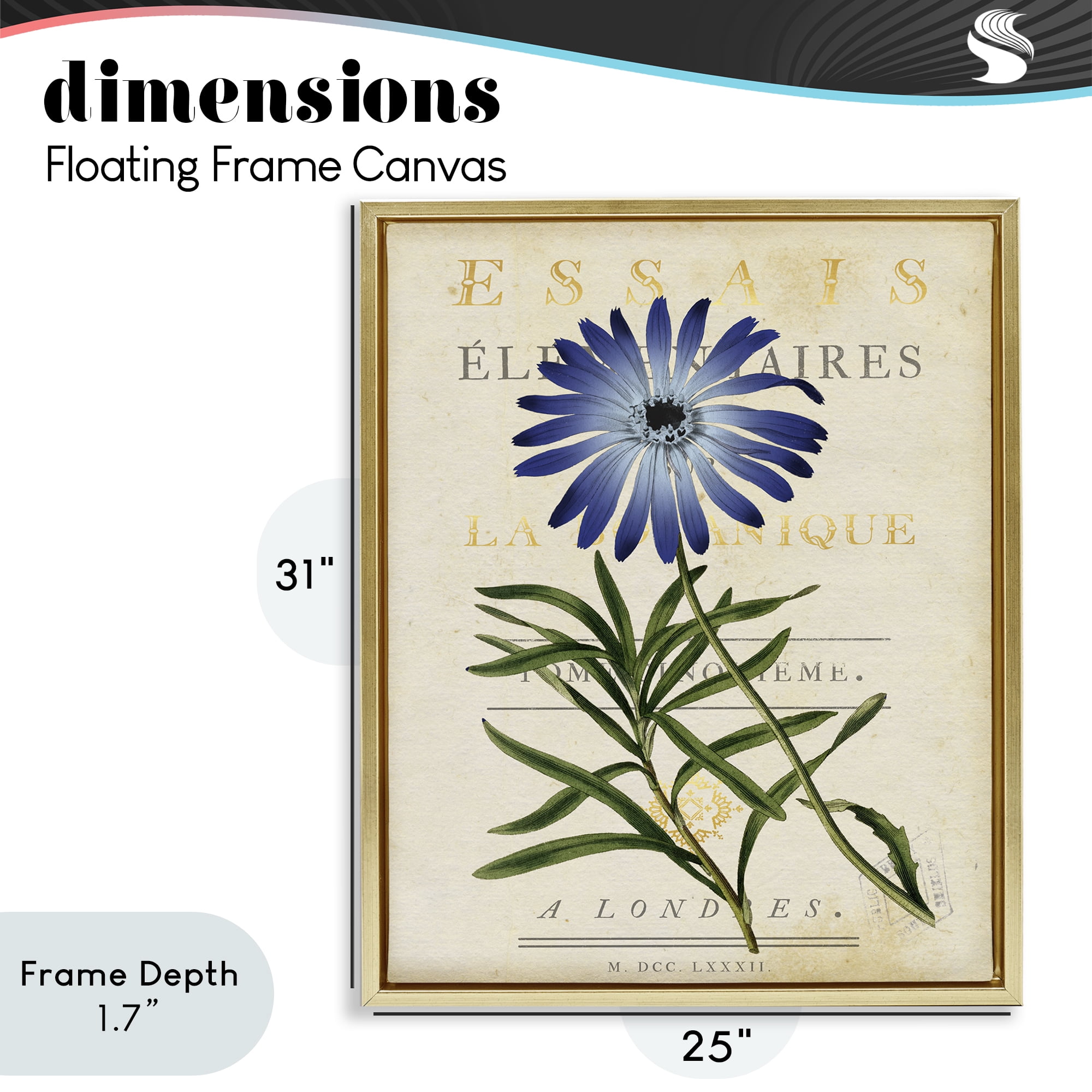 Stupell Industries Natural Botany Daisy Gold Framed Floater Canvas Wall Art, design by Susan Arnot