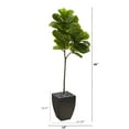 thumbnail image 2 of Nearly Natural 5.5' Fiddle Leaf Artificial Tree in Black Planter (Real Touch), Green, 2 of 3