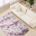 thumbnail image 5 of Fluffy Area Rugs for Bedroom, Non-Slip Washable Soft Shag Carpet, Plush High Pile Throw Rug for Living Room, Dorm, Aesthetic Decor H, 5 of 5