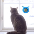 thumbnail image 2 of Bolas Hierba Gatera Plástico para Gatos Juguete Reemplazable Con Forma Cabeza Perro Suministros Color Azul 2 Uds., 2 of 7