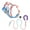 Blue, variant on Levviye Adjustable Dog Leash & Harness Breathable Portable Set - Contrast Color Lightweight Vest Style for Walking, Blue S