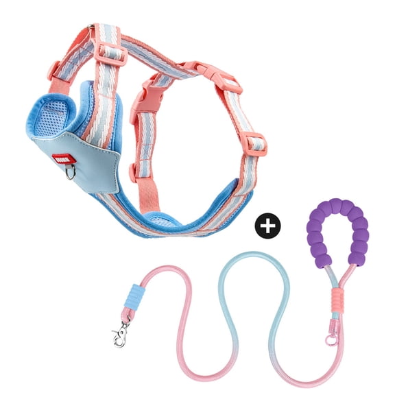 Levviye Adjustable Dog Leash & Harness Breathable Portable Set - Contrast Color Lightweight Vest Style for Walking, Blue XS