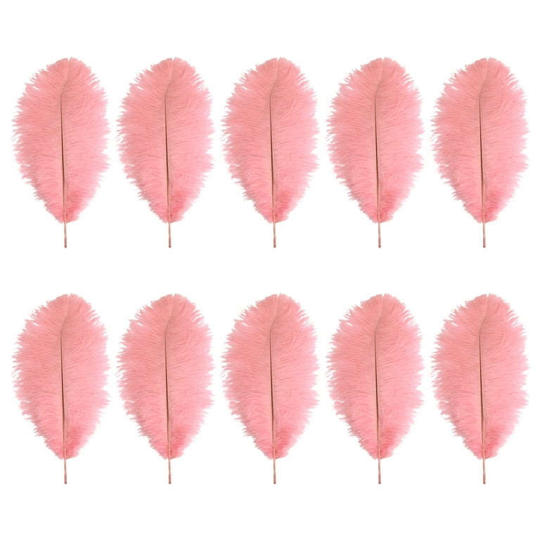 GadgetVLot 10Pcs Pink Artificial Feathers Wedding Party Home Decoration  Daily Wall Crafts Accessories 