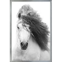 Grayscale Horse Wall Poster, 22.375" x 34", Framed