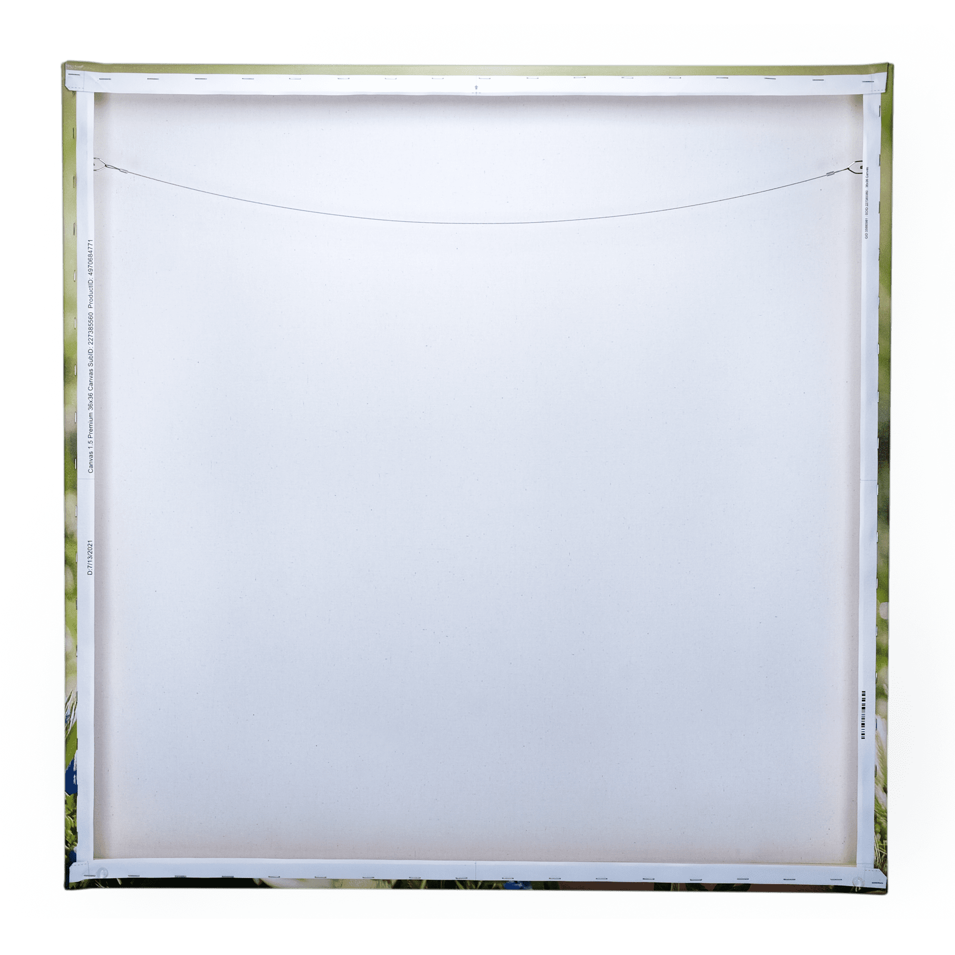36x36 Gallery Wrapped Canvas