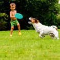 thumbnail image 4 of Juguete para perros Frisbee brillar 2 discos naranja + verde 18 cm, 4 of 5