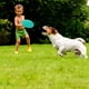 thumbnail image 4 of Juguete para perros Frisbee brillar 2 discos naranja + verde 18 cm, 4 of 5