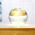 View all media