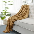 thumbnail image 4 of Home Soft Things Pompom Throw - Amphora - 50" x 60", 4 of 7