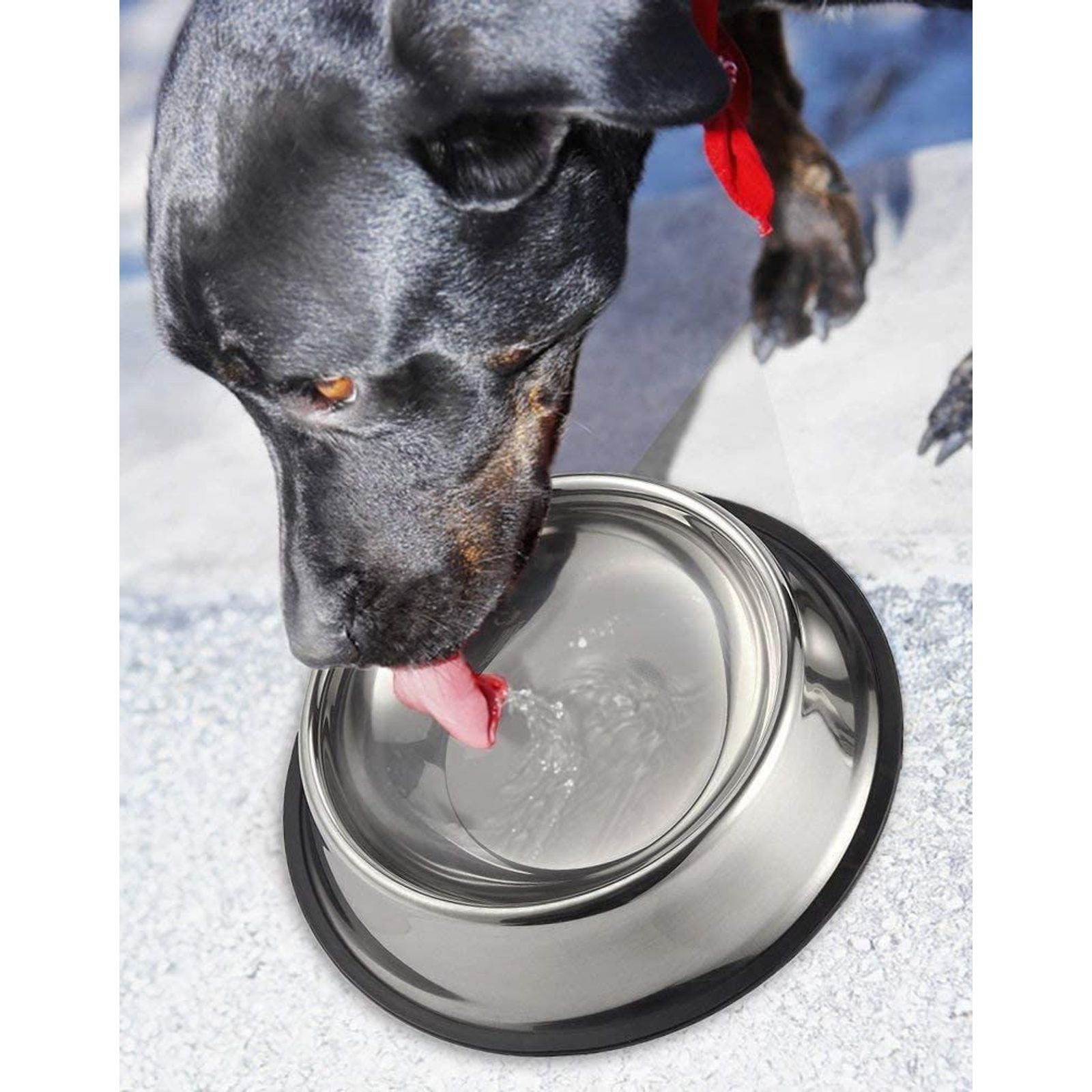 Juvale Stainless Steel Dog Bowls - Set of 2 Pet Food and Water Dish Bowls with Non-skid Base for Cats, Small, Medium and Large Sized Dogs - Silver, 10 inches Diameter