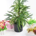 thumbnail image 1 of Home Decor Qwtwty Artificial Norfolk Tree Faux Christmas Tree Potted Green for Front Porch Christmas Indoor Outdoor Decor, 1 of 5