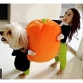 thumbnail image 1 of Design A Unique Costume For Your Pet Turn Into Funny Clothes Holiday Ornaments, 1 of 1