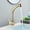 Gold, variant on Extendable Lift Basin Faucet with Flexible Pull Out Sprayer Deck Mounted Bathroom Sink Mixer Taps Dual Modes Nozzle for Farmhouse, RV, Bar Sinks,Black